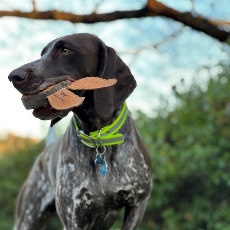 Tall Tails Dog Natural Leather Scrappy Fetch Toy for Dogs, Rabbit - Image 5